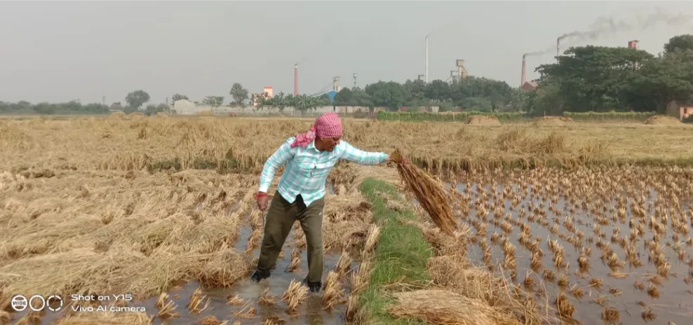 অলক কুমার মাঝি