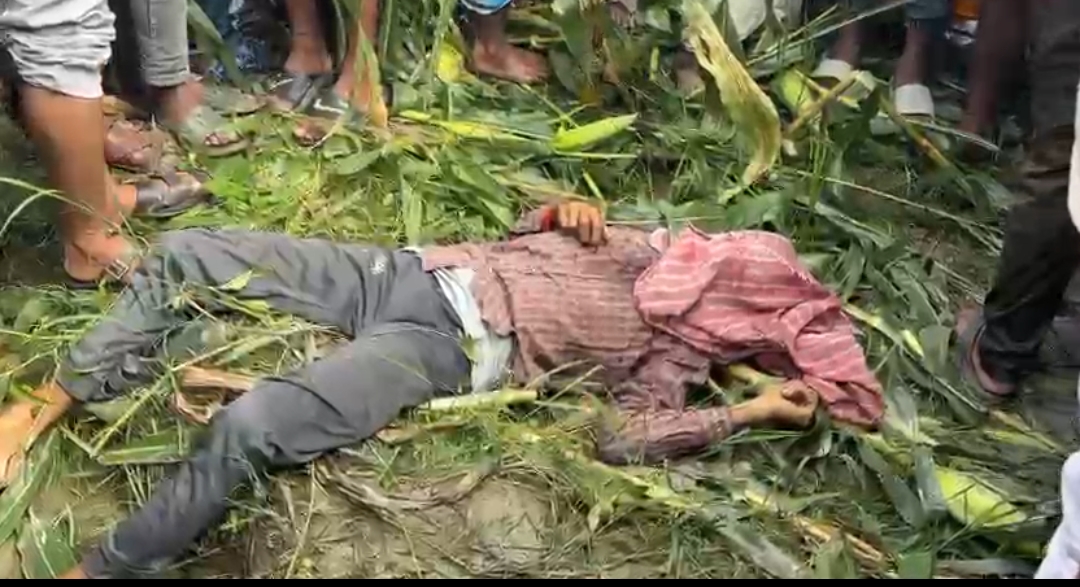 ভুট্টার জমি থেকে রক্তাক্ত দেহ উদ্ধার, গলা কেটে খুনের অভিযোগে চাঞ্চল্য গোয়ালপোখরে