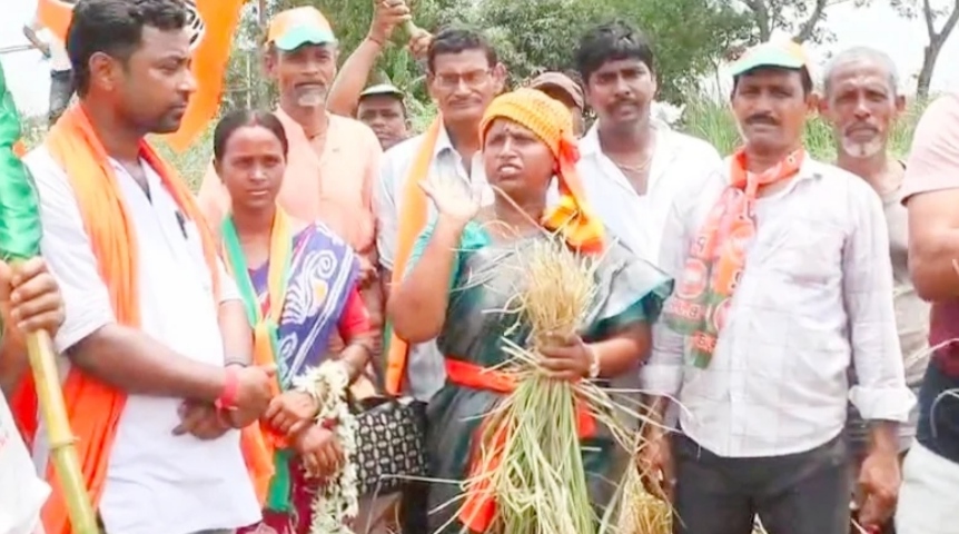 ভোটের প্রচারের মাঝে জমিতে নেমে ধানের গোছা বাঁধলেন কৃষক পরিবারের মেয়ে কুলতলি বিধানসভার বিজেপি প্রার্থী মাধবী মহলদার