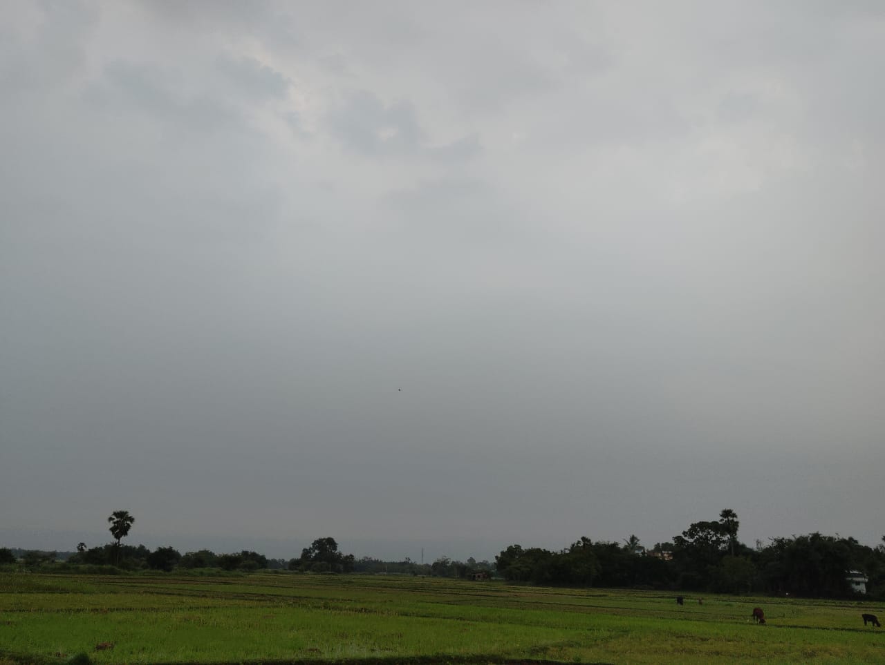 Heavy rain