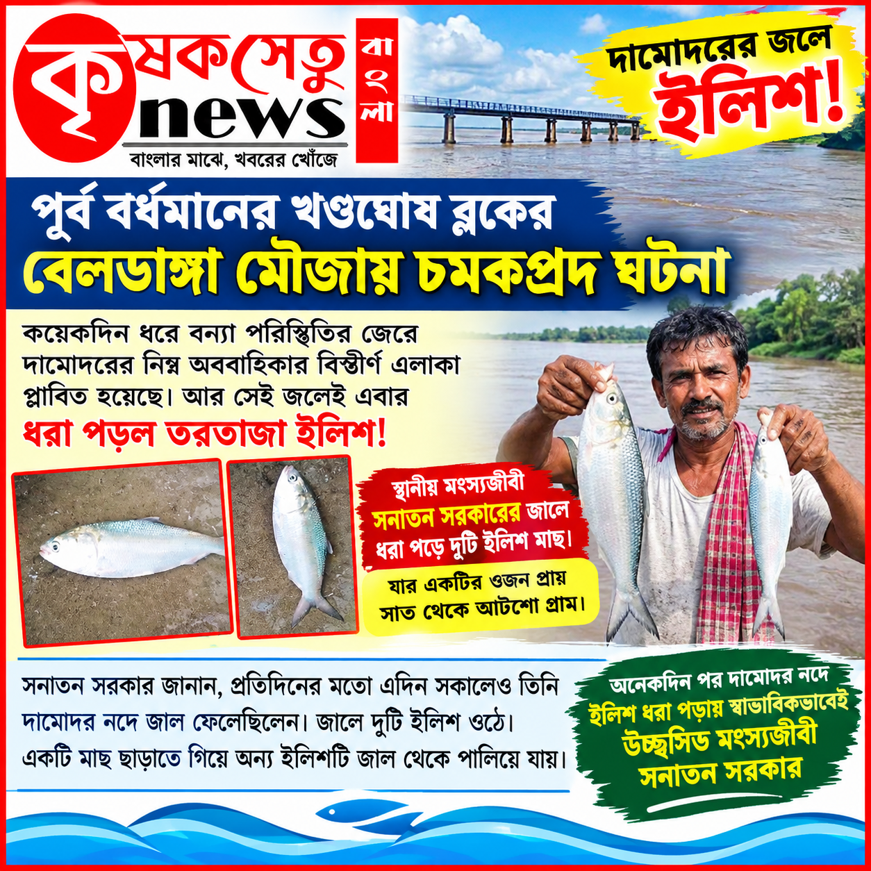 দামোদরের জলে ইলিশ! খণ্ডঘোষে মৎস্যজীবীর জালে উঠল জোড়া ইলিশ