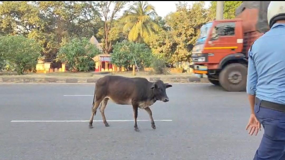 road